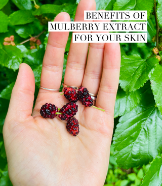Embrace Sunny Days with Mulberry Extract