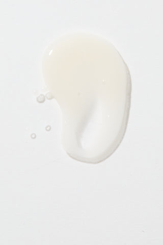 Limited Edition Holiday Sample Box - PRESALE